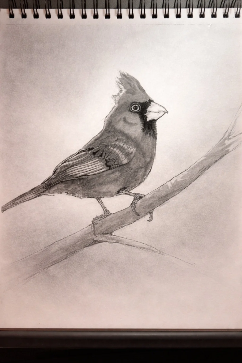 Cardinal Study