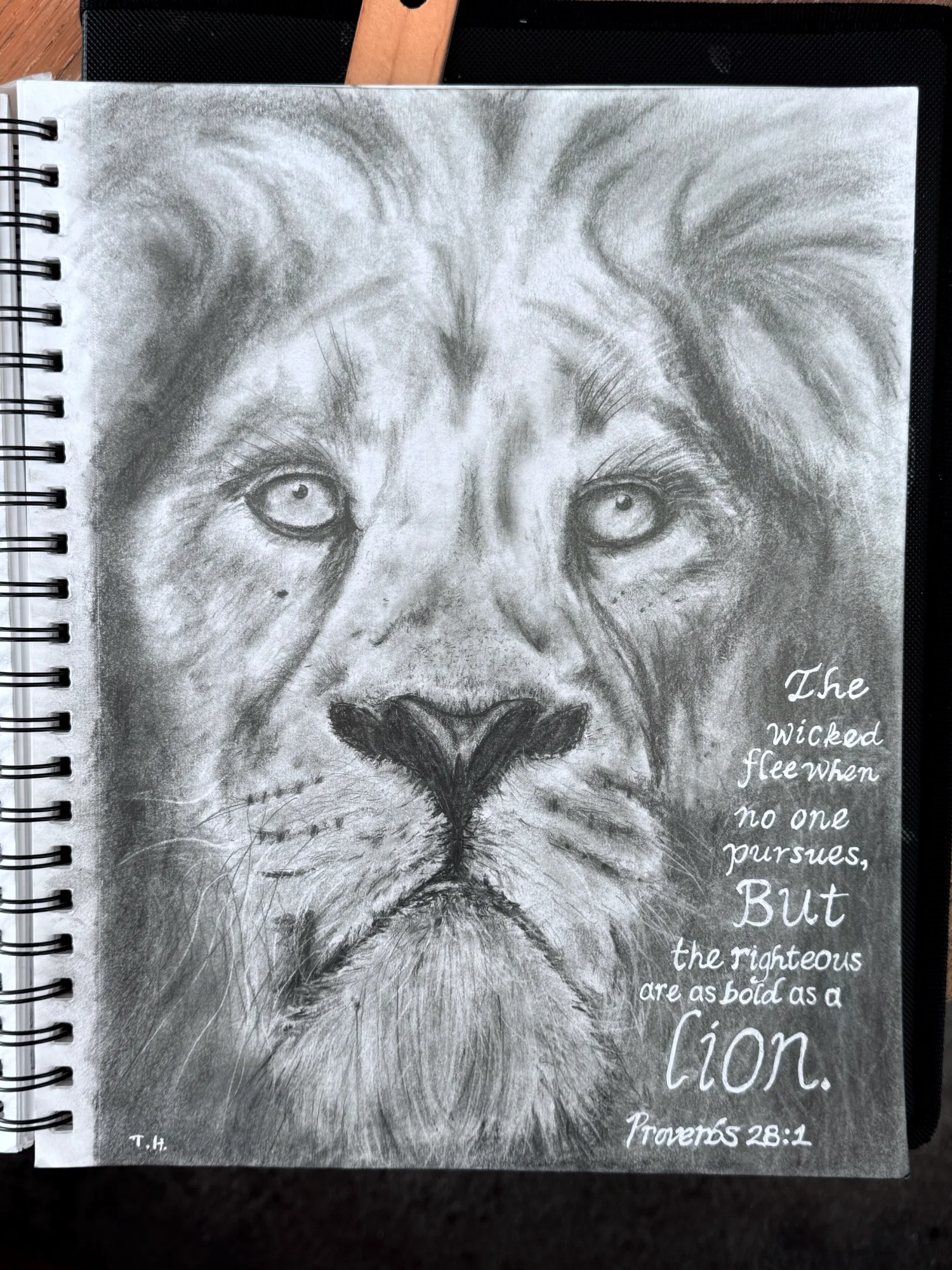 Bold as a Lion - Proverbs 28:1